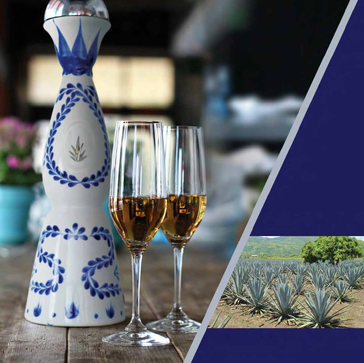 Tequila-Clase-Azul-Reposado_3