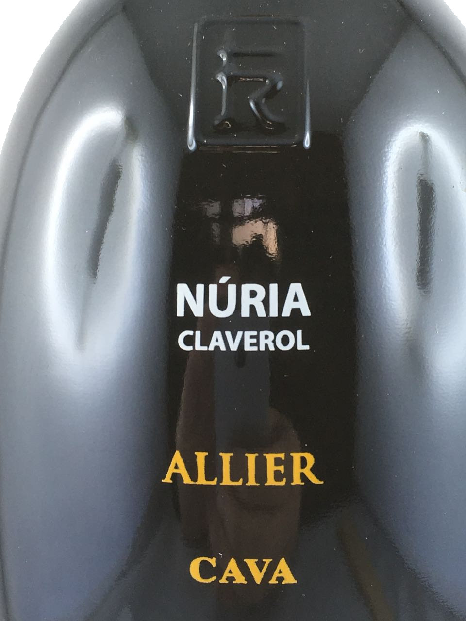 Nuria-Allier-2014-focus