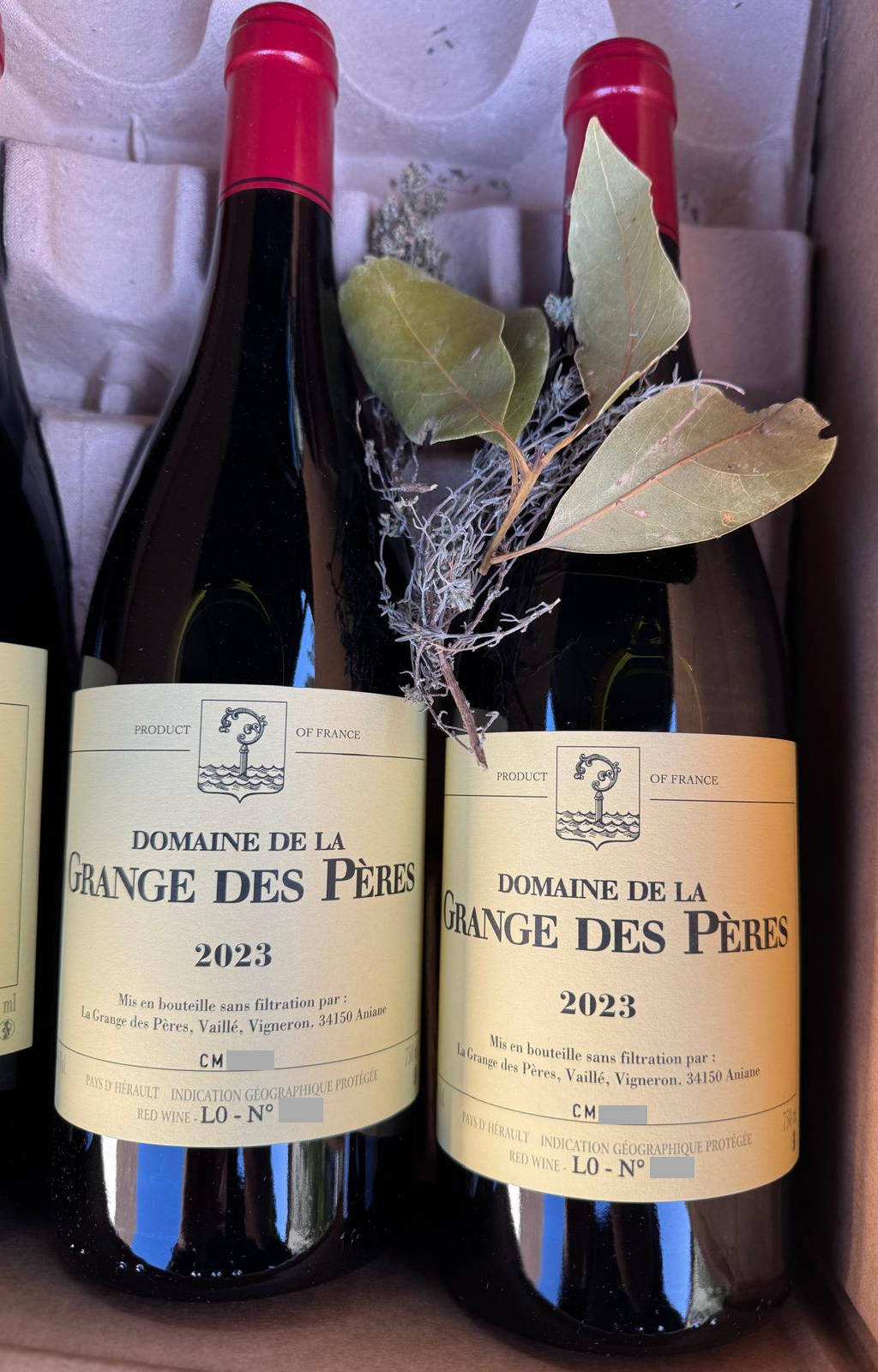 Domaine de la Grange des Pères 2023 Rouge (Rotwein)