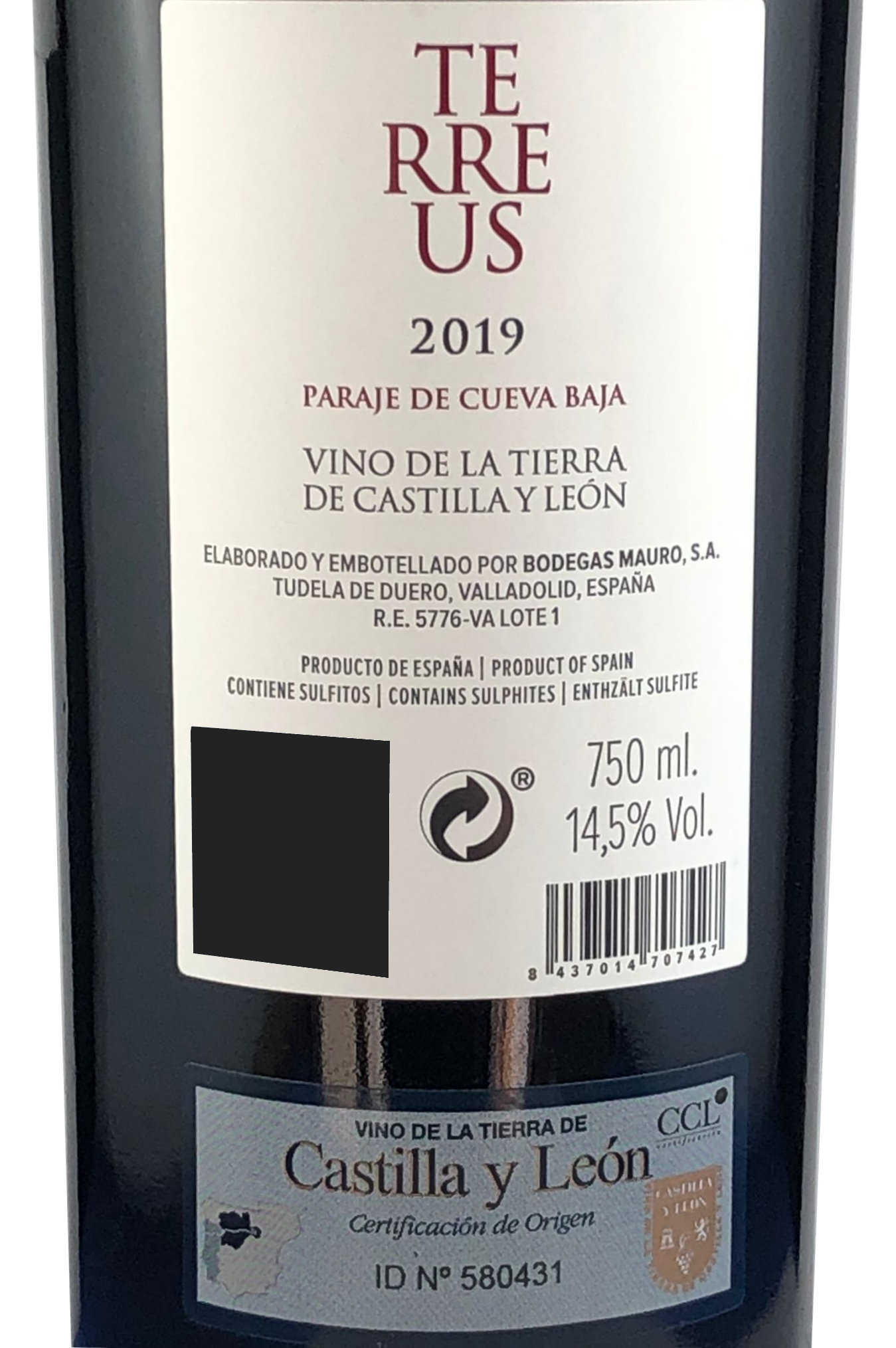 Mauro-Terreus-back_black